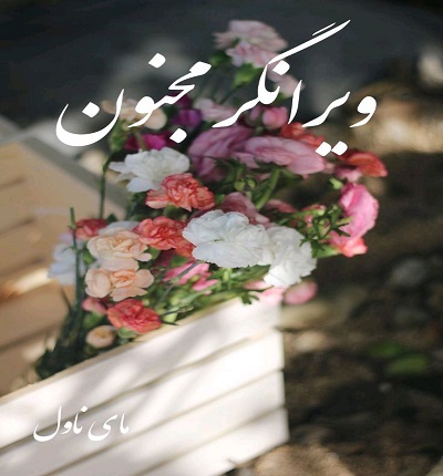 ویرانگر مجنون